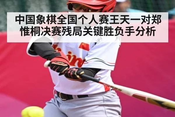 中国象棋全国个人赛王天一对郑惟桐决赛残局关键胜负手分析